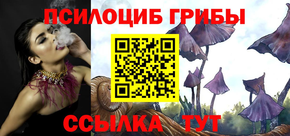 Галлюциногенные грибы Cubensis  Псилоцибиновые грибы прущие грибы  Вход с VPN  Новокубанск 