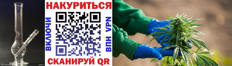 Канабис SATIVA & INDICA  Новокубанск 